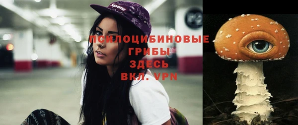 гидропоника Заволжск