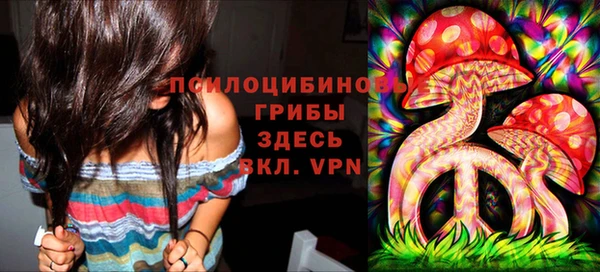 гидропоника Заволжск