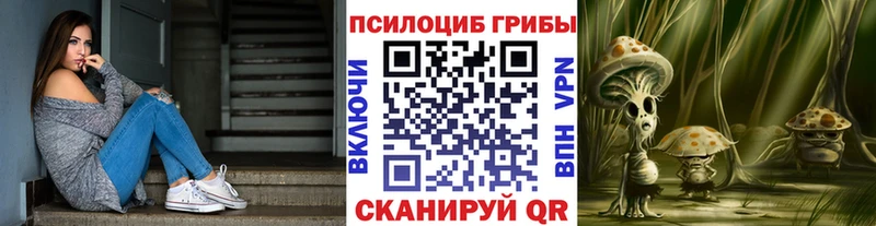 Купить закладки Обь Псилоцибиновые грибы мицелий